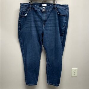 Lane Bryant Flex Magic Waistband Signature Fit Mid Rise Skinny Jeans 26S
